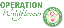 Operation Wildflower