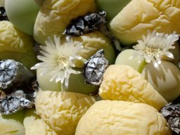 Gibbaeum heathii flowers and capsules