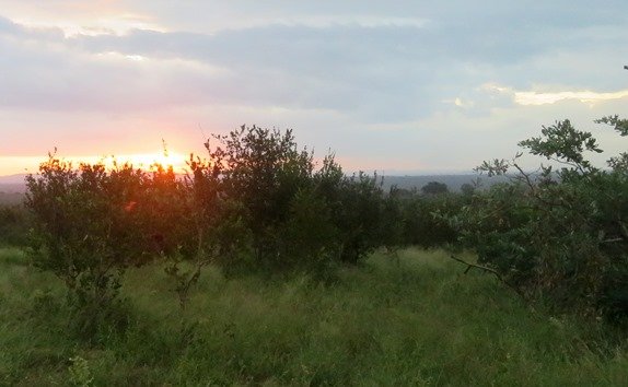 The end of a dull day