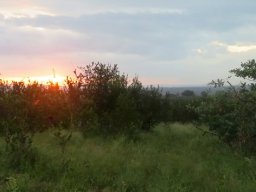 The end of a dull day