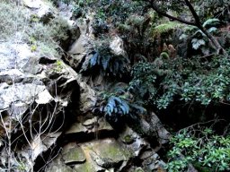 Narrow kloof