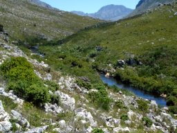 The river stopped the fire