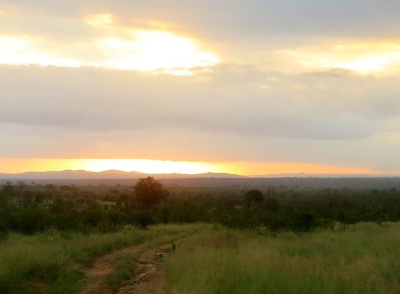 After rain