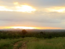 After rain