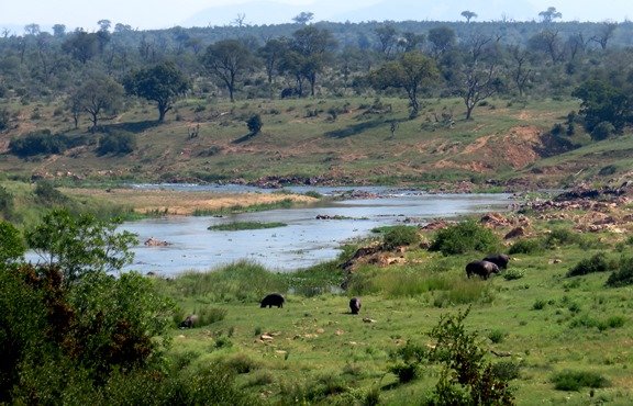 Near or in fresh water
