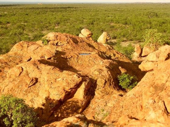 Rain water on a rock
