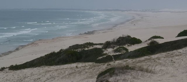 Marginal conditions in the De Hoop Reserve
