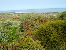 West coast view at Grotto Bay