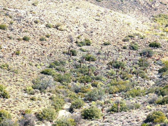 Dry river bed