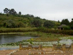 Caledon Wildflower Garden pond