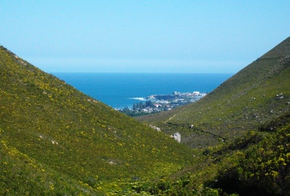 Fernkloof Nature Reserve