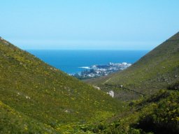 Fernkloof Nature Reserve