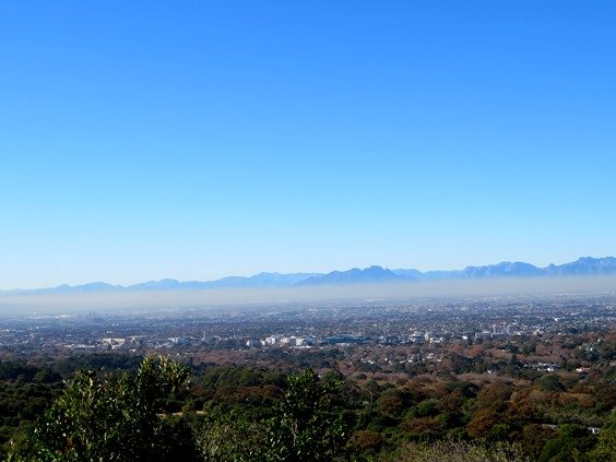 Simonsberg from Kirstenbosch 