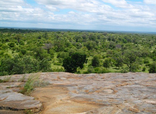 High rock lookout