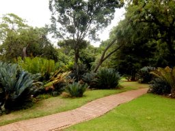 Pretoria National Botanical Garden