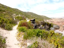 Timeless coastal track