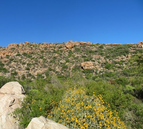 A Biedouw hill