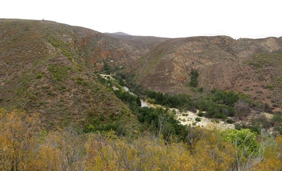 Kouga River exotic embellishment