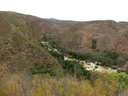 Kouga River exotic embellishment