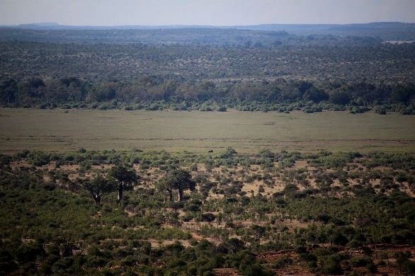 Limpopo flood plain