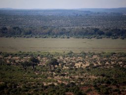 Limpopo flood plain