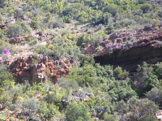 In a kloof of the Rooiberg