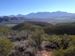 Conservation a priority