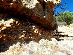 Conglomerate